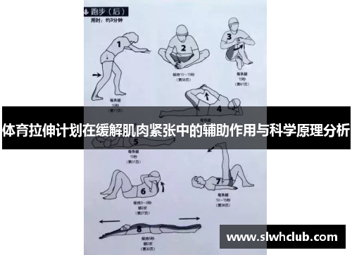 体育拉伸计划在缓解肌肉紧张中的辅助作用与科学原理分析